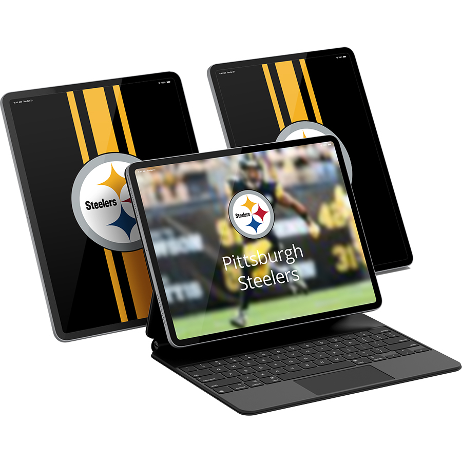 Pittsburgh Steelers Fans Box