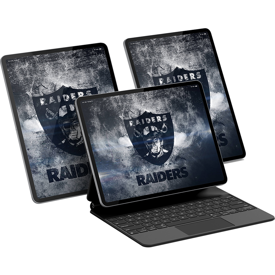 Las Vegas Raiders Fans Box