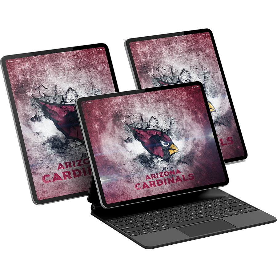 Arizona Cardinals Fans Box