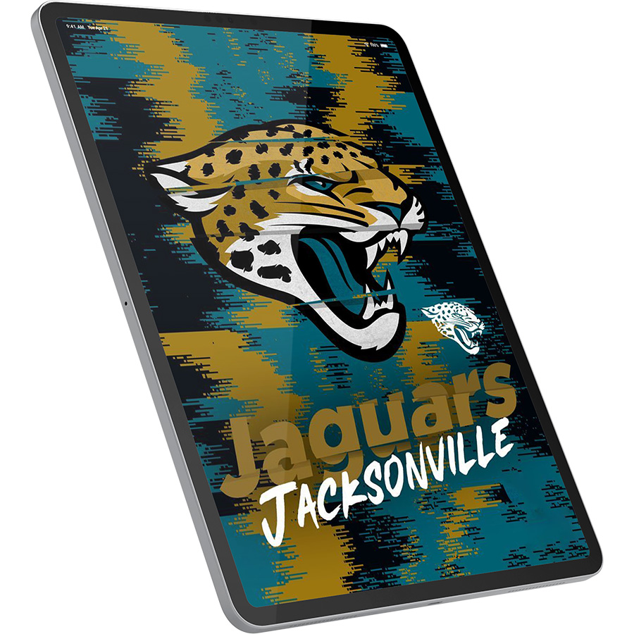 Jacksonville Jaguars Fans Box