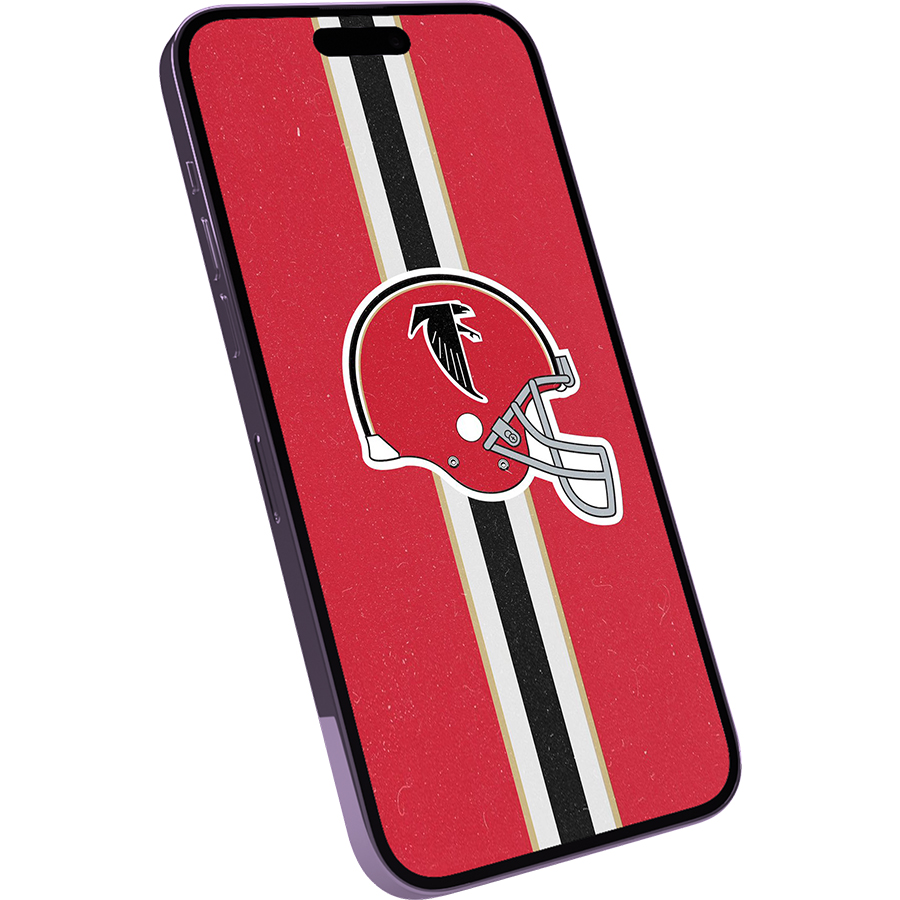 Atlanta Falcons Fans Box