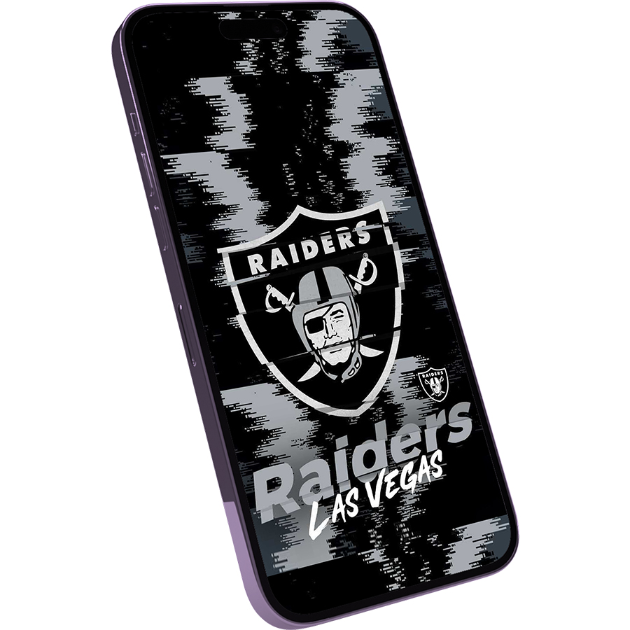 Las Vegas Raiders Fans Box