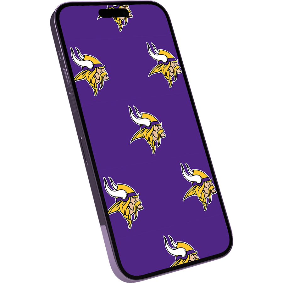 Minnesota Vikings Fans Box