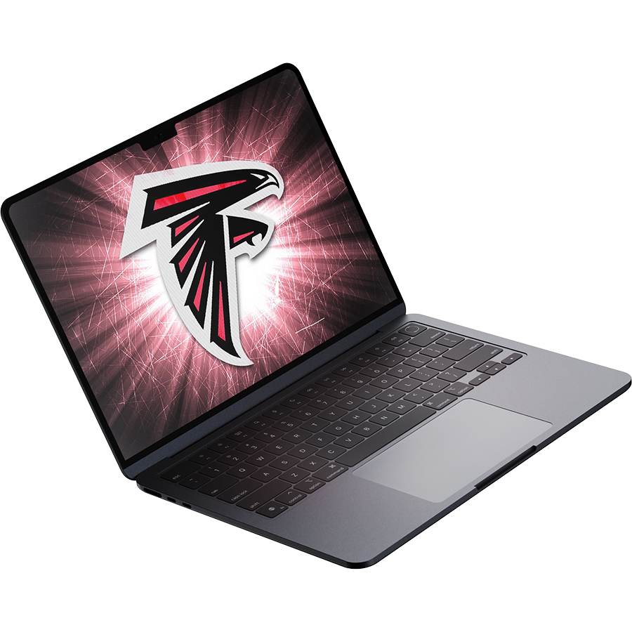 Atlanta Falcons Fans Box