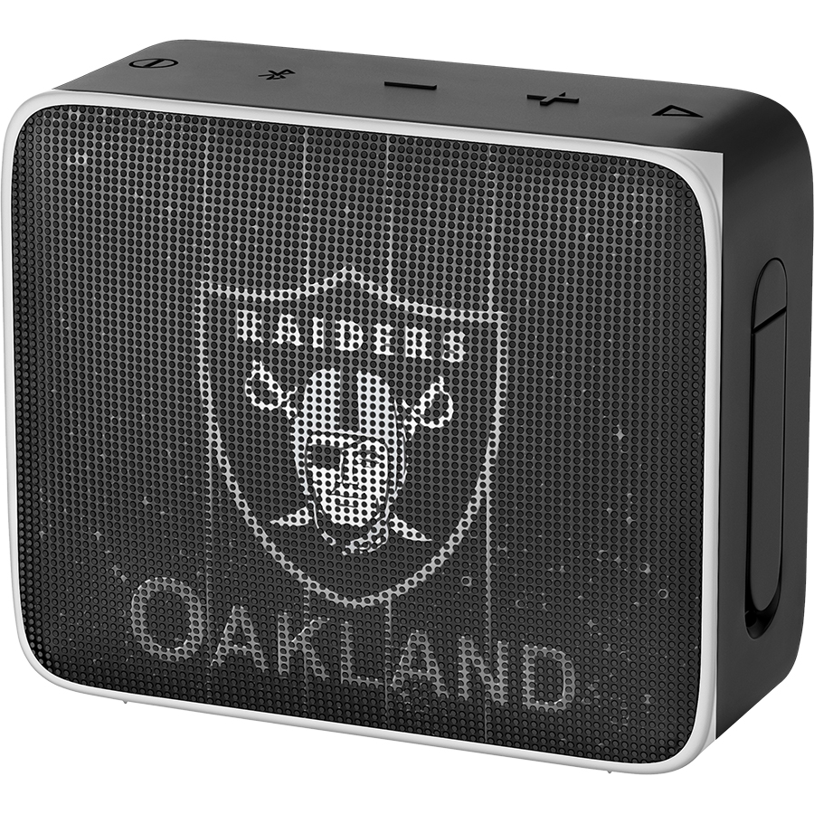 Las Vegas Raiders Fans Box