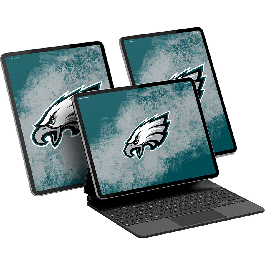 Philadelphia Eagles Fans Box