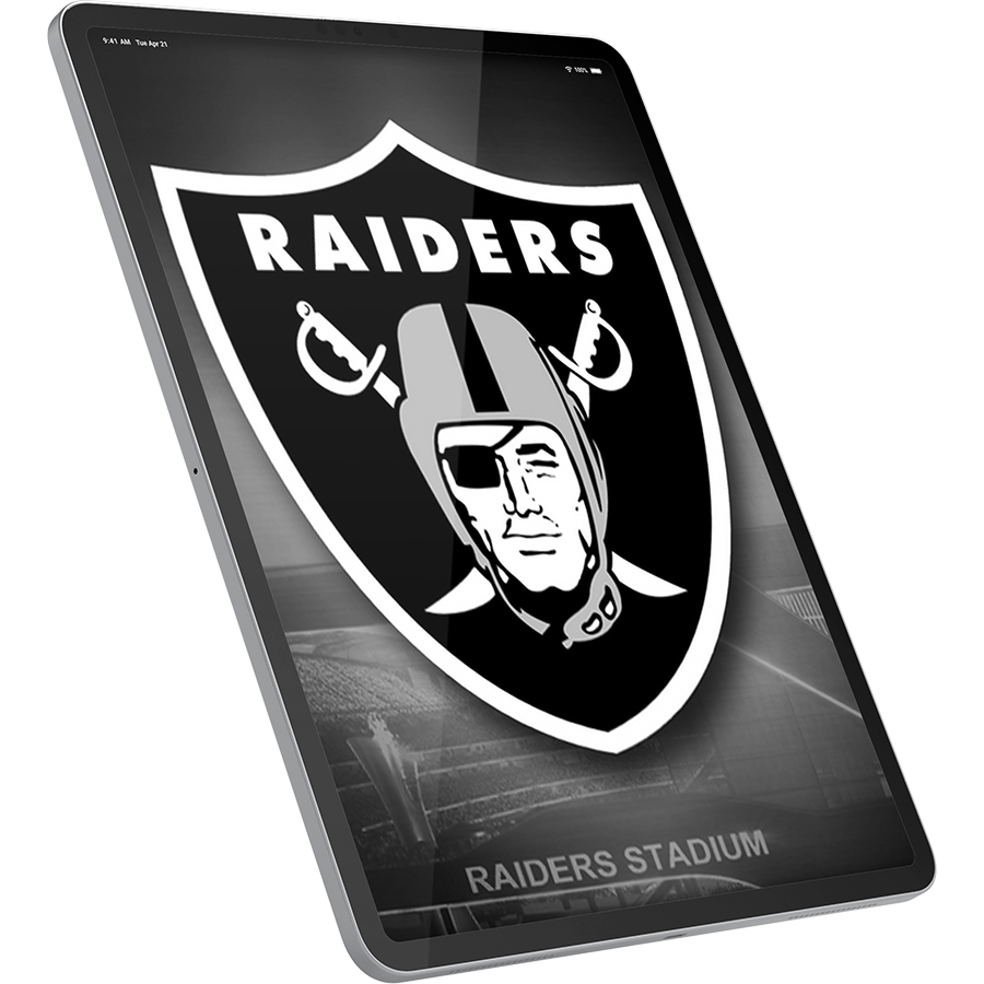 Las Vegas Raiders Fans Box