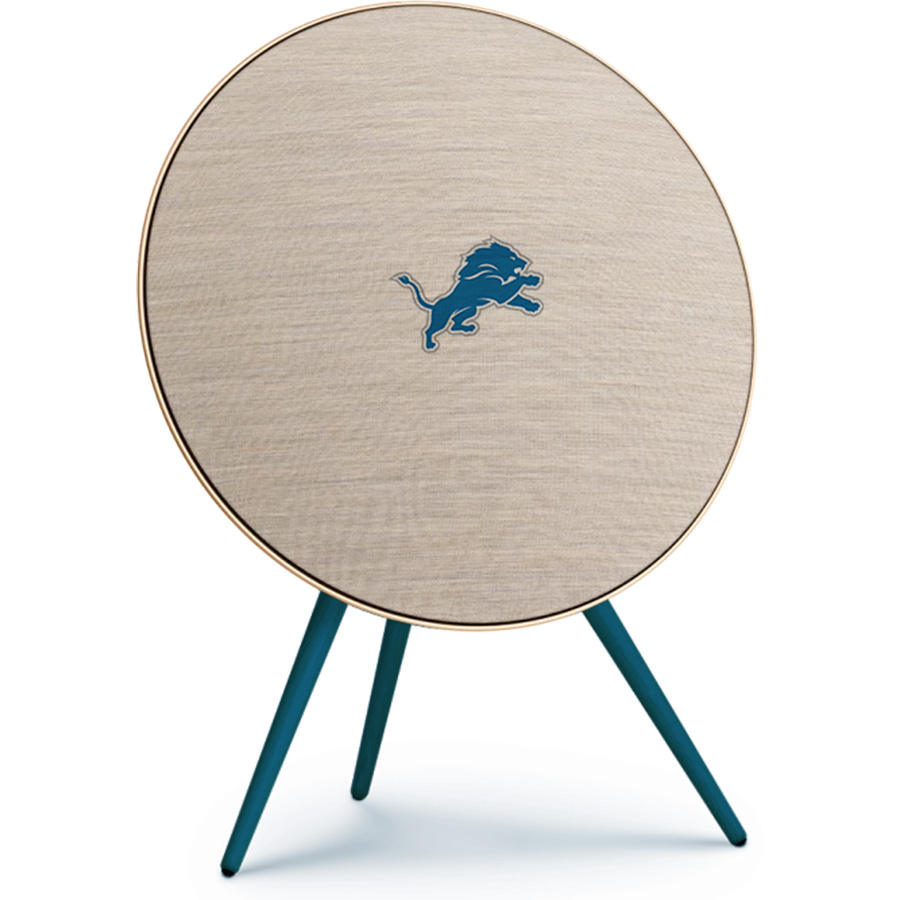 Detroit Lions Fans Box