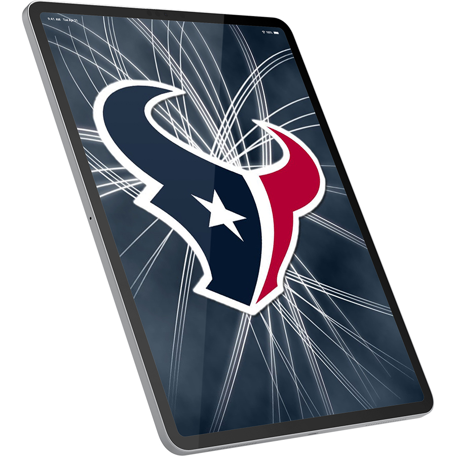 Houston Texans Fans Box