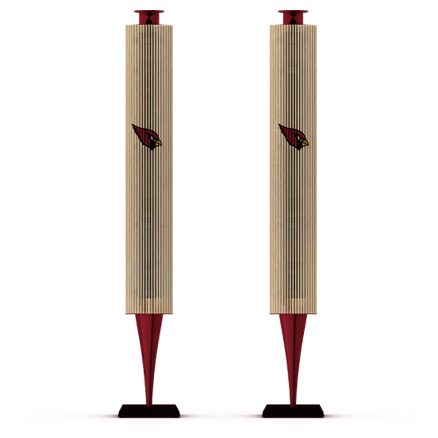 Arizona Cardinals Fans Box