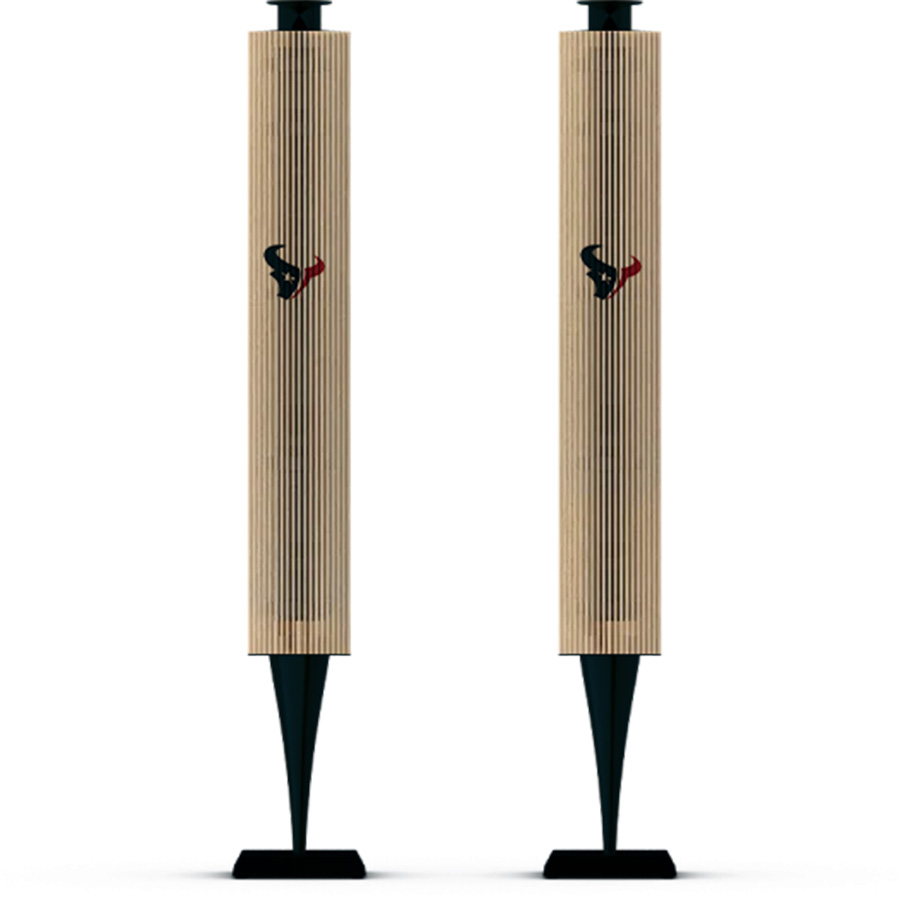 Houston Texans Fans Box