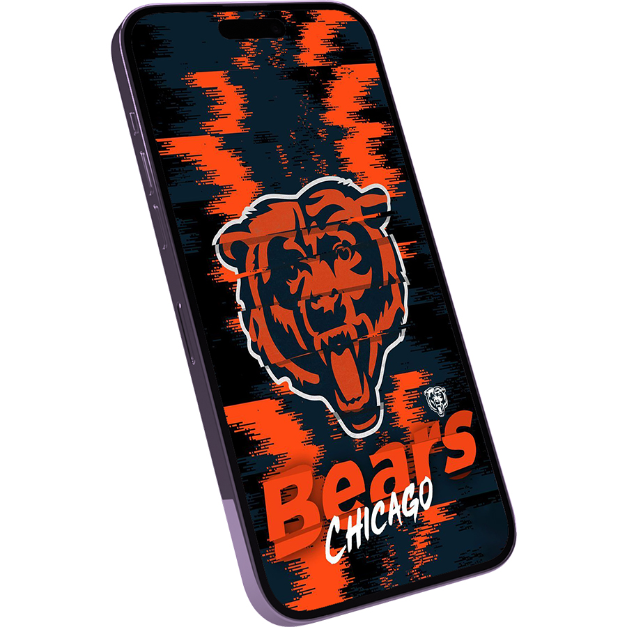 Chicago Bears Fans Box