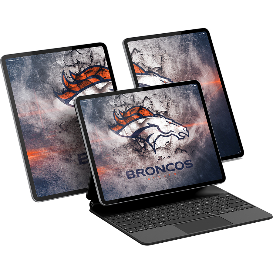 Denver Broncos Fans Box