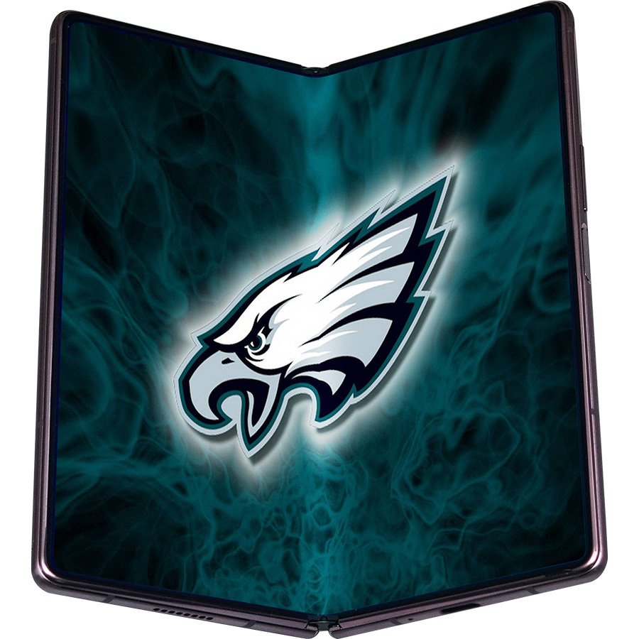 Philadelphia Eagles Fans Box