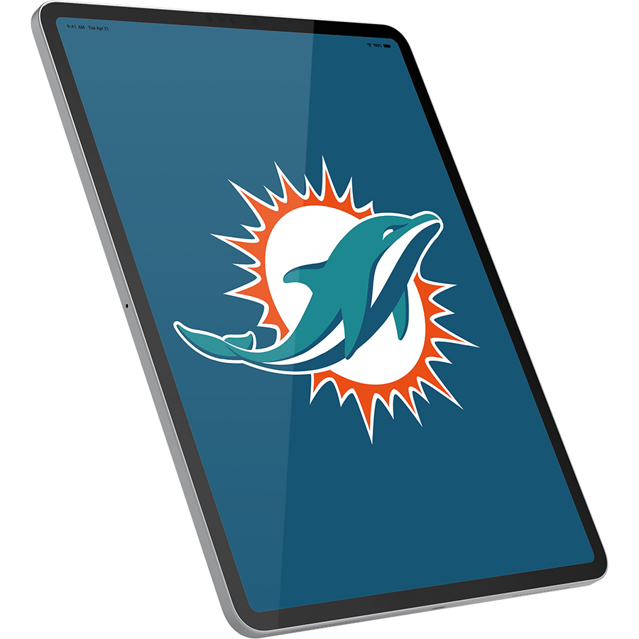 Miami Dolphins Fans Box
