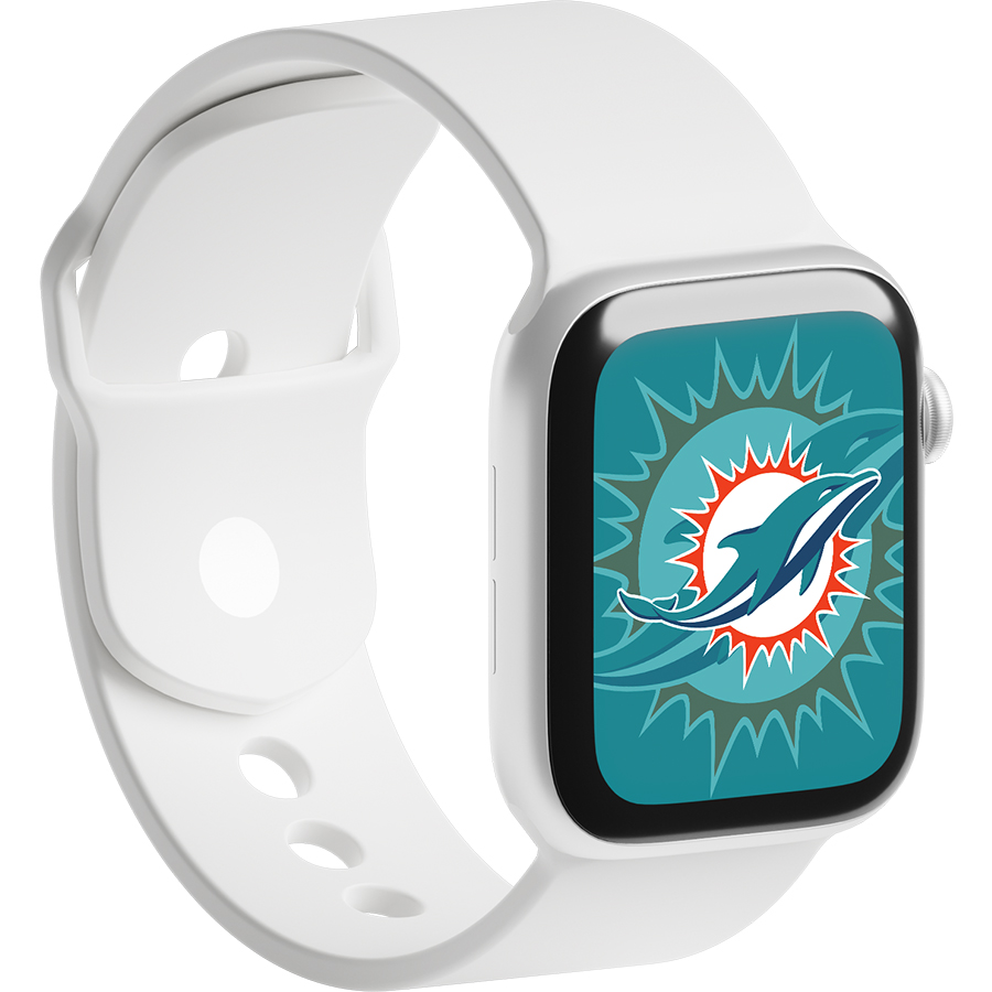 Miami Dolphins Fans Box