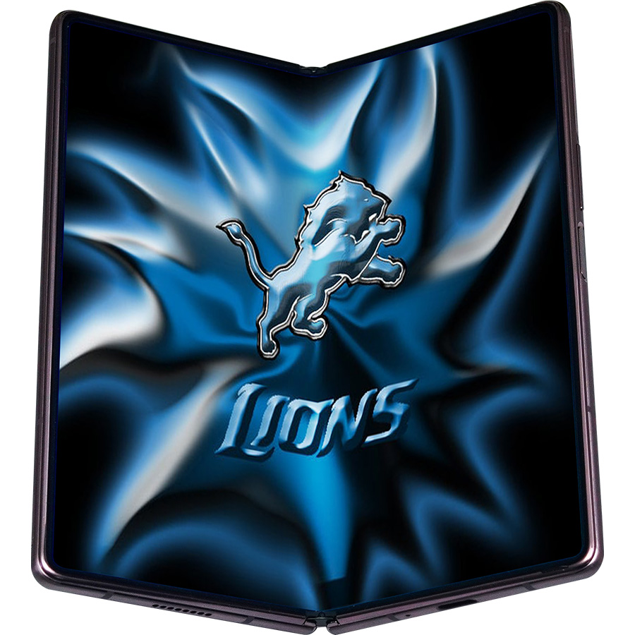 Detroit Lions Fans Box