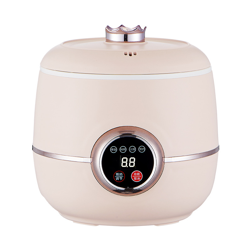 Multifunctional dormitory electric rice cooker for cooking soup and porridge