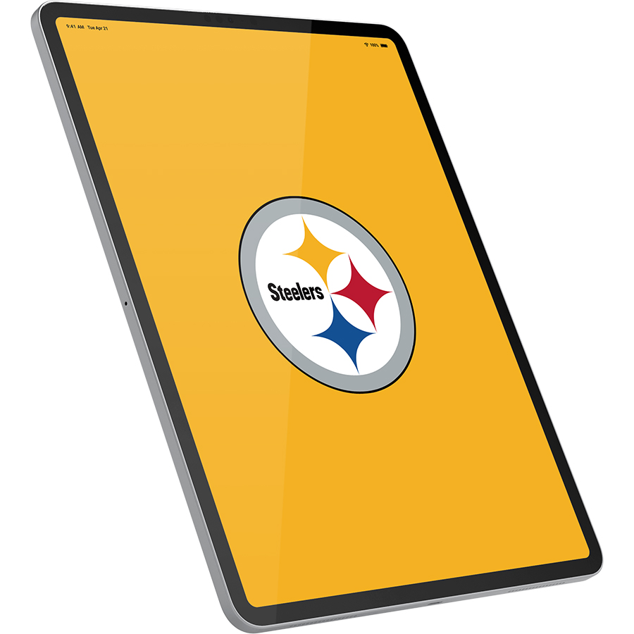 Pittsburgh Steelers Fans Box
