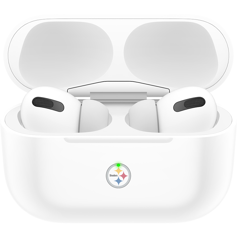 Pittsburgh Steelers Fans Box