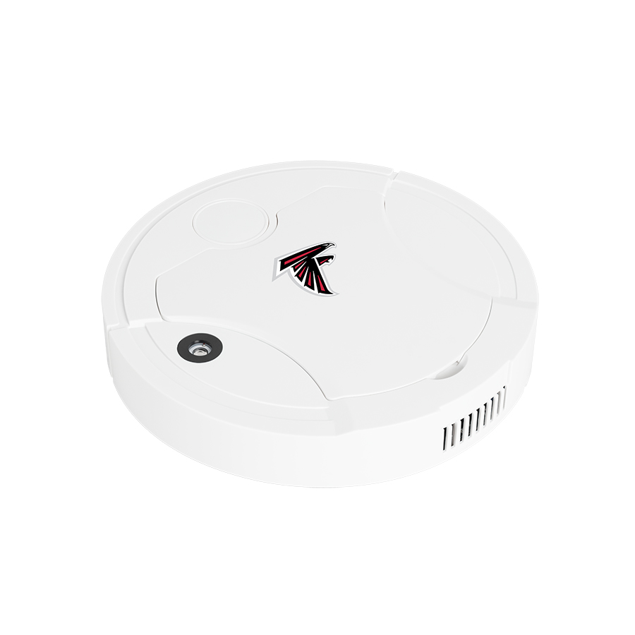 Atlanta Falcons Fans Box