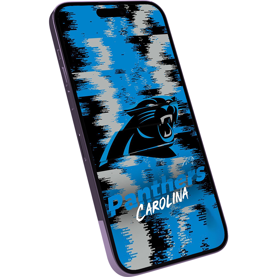 Carolina Panthers Fans Box