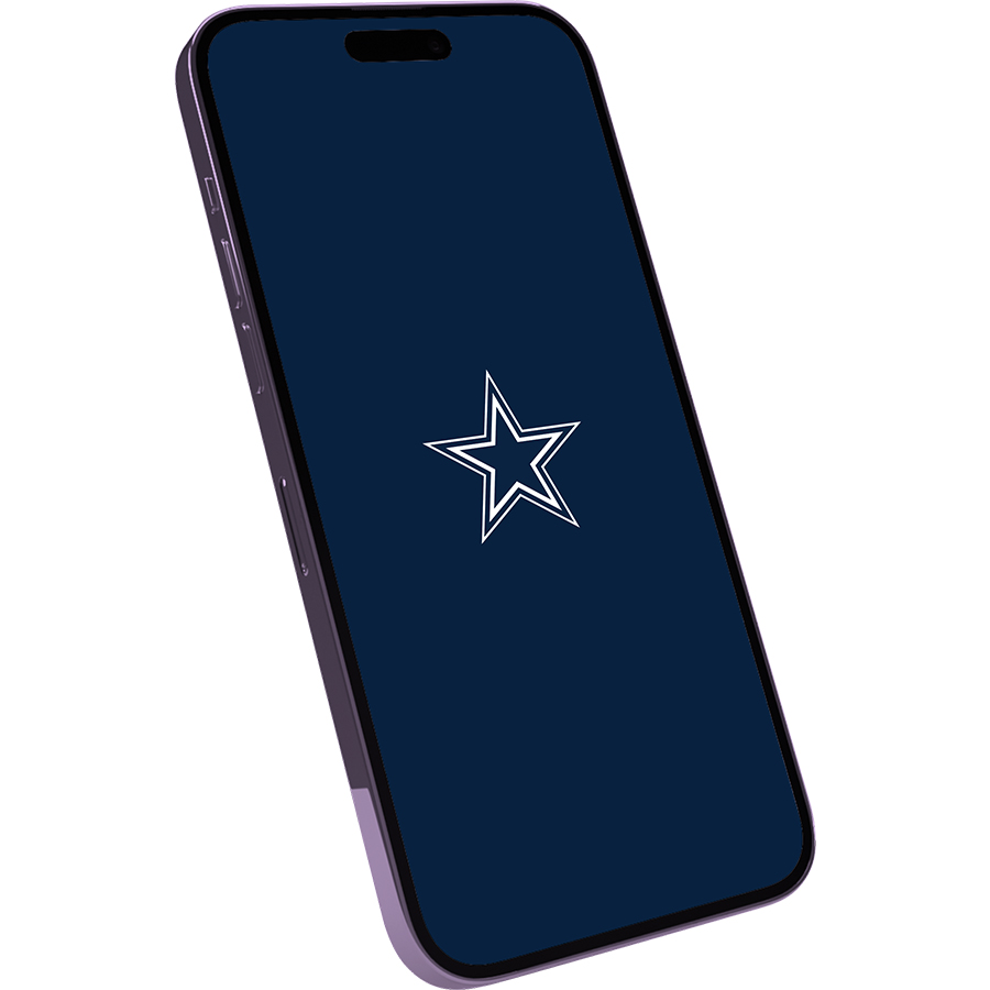 Dallas Cowboys Fans Box