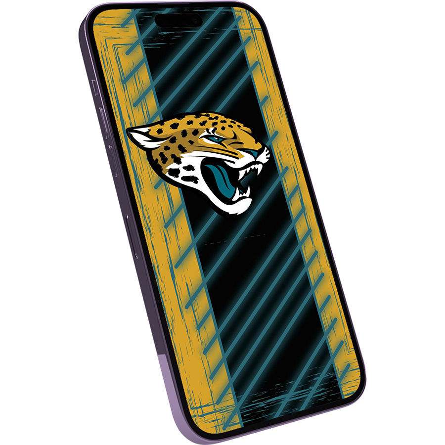 Jacksonville Jaguars Fans Box