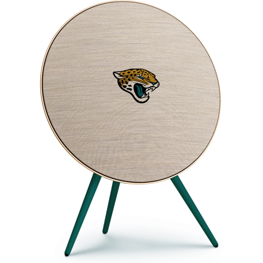 Jacksonville Jaguars Fans Box