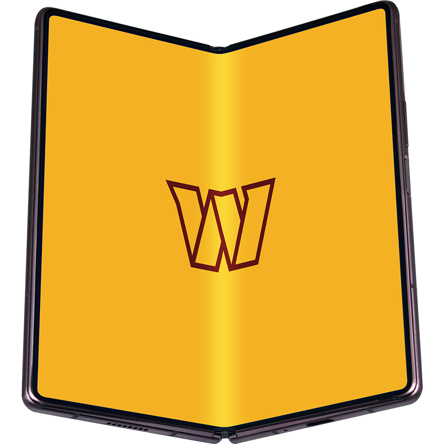 Washington Commanders Fans Box