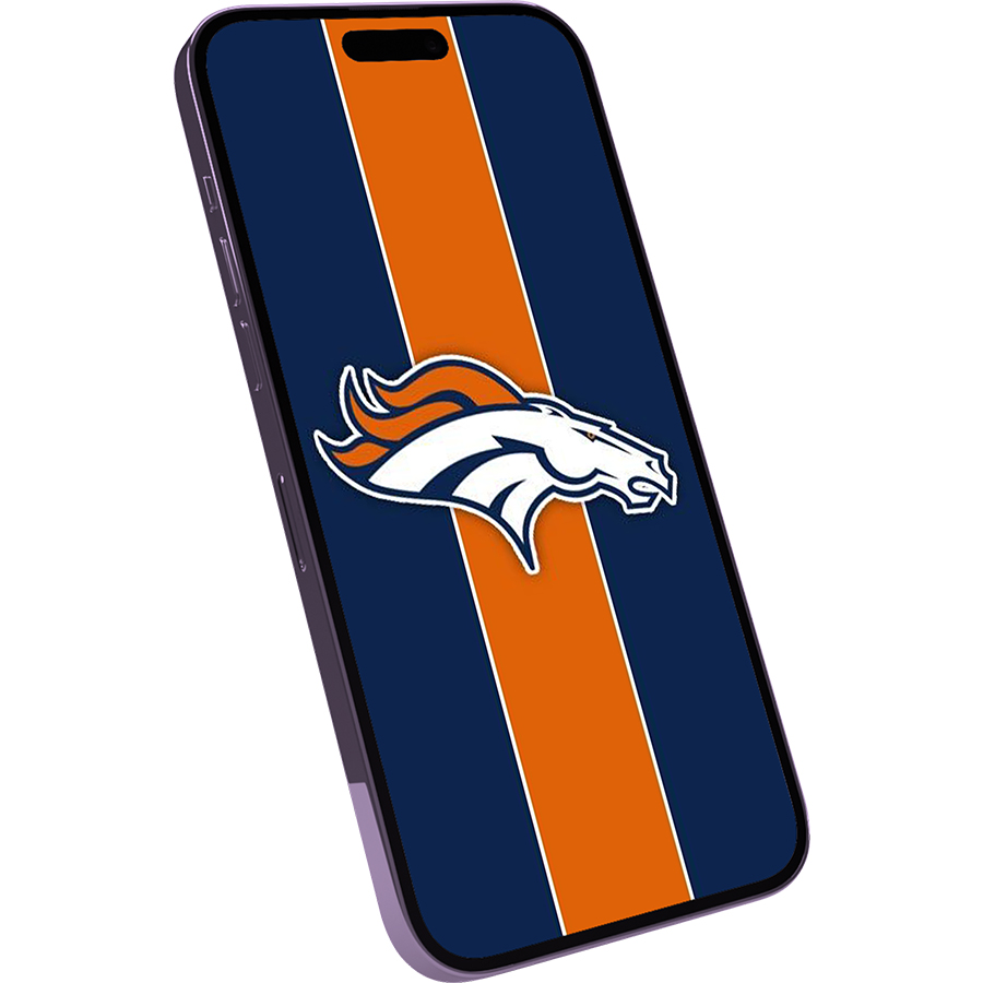 Denver Broncos Fans Box