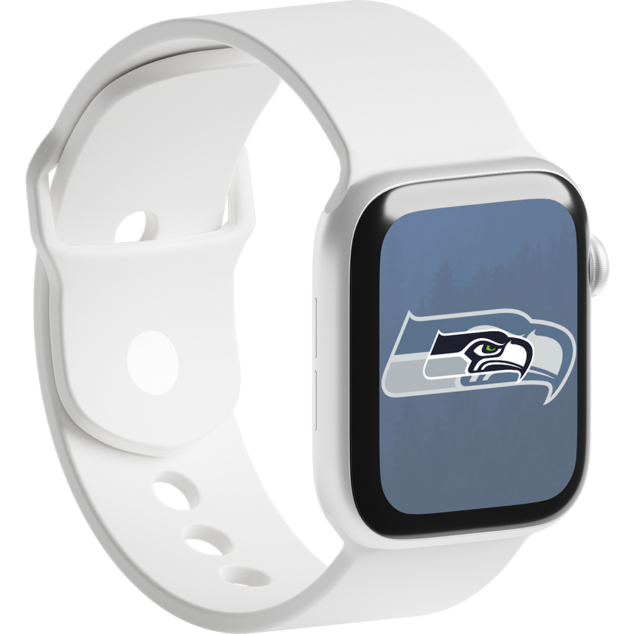 Seattle Seahawks Fans Box