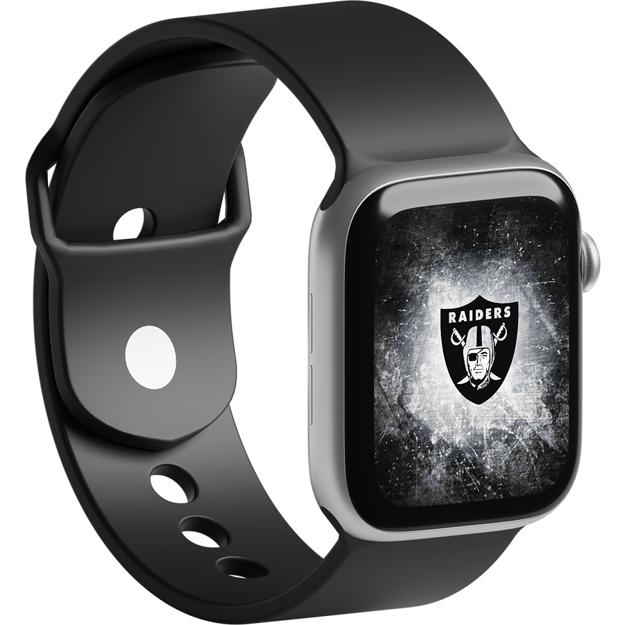 Las Vegas Raiders Fans Box