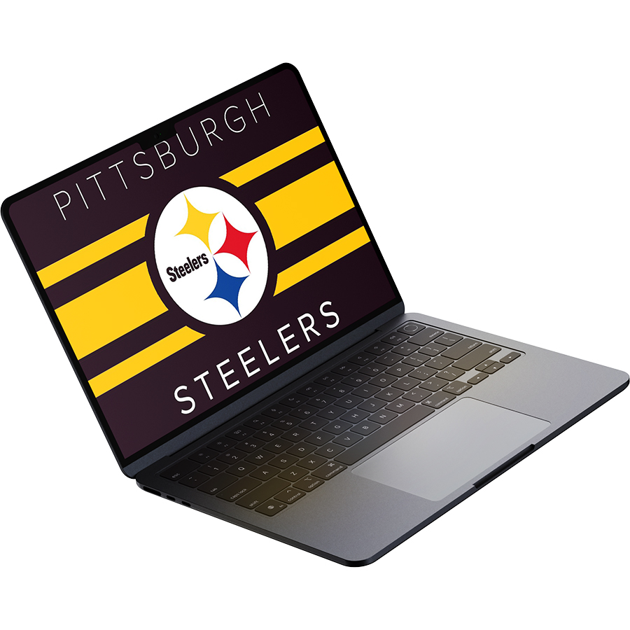 Pittsburgh Steelers Fans Box