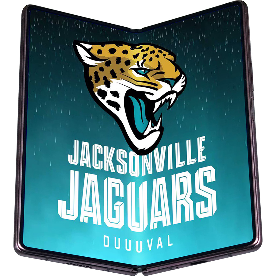 Jacksonville Jaguars Fans Box