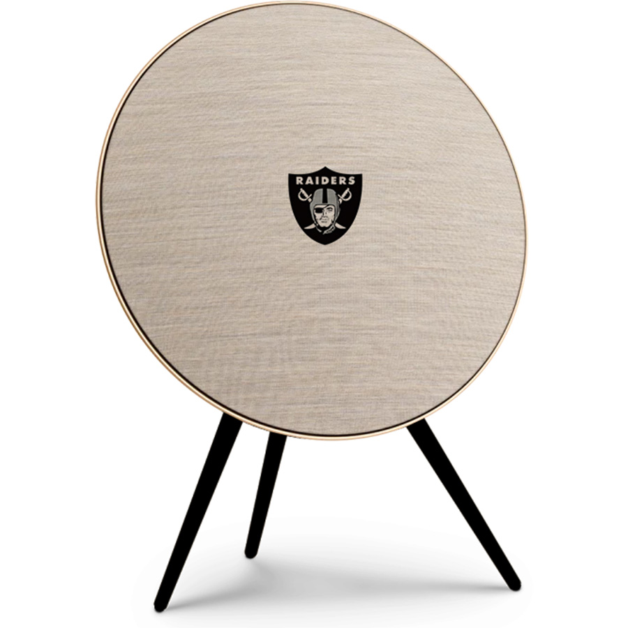 Las Vegas Raiders Fans Box