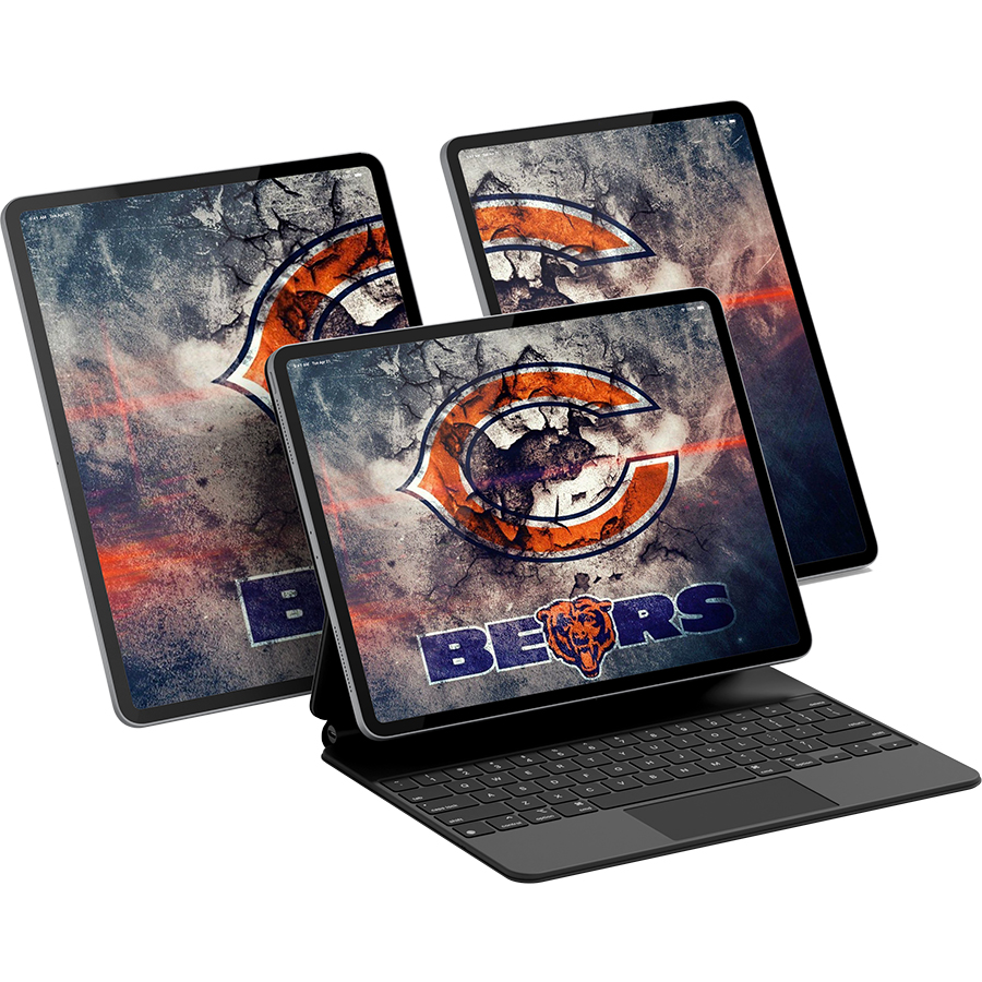 Chicago Bears Fans Box