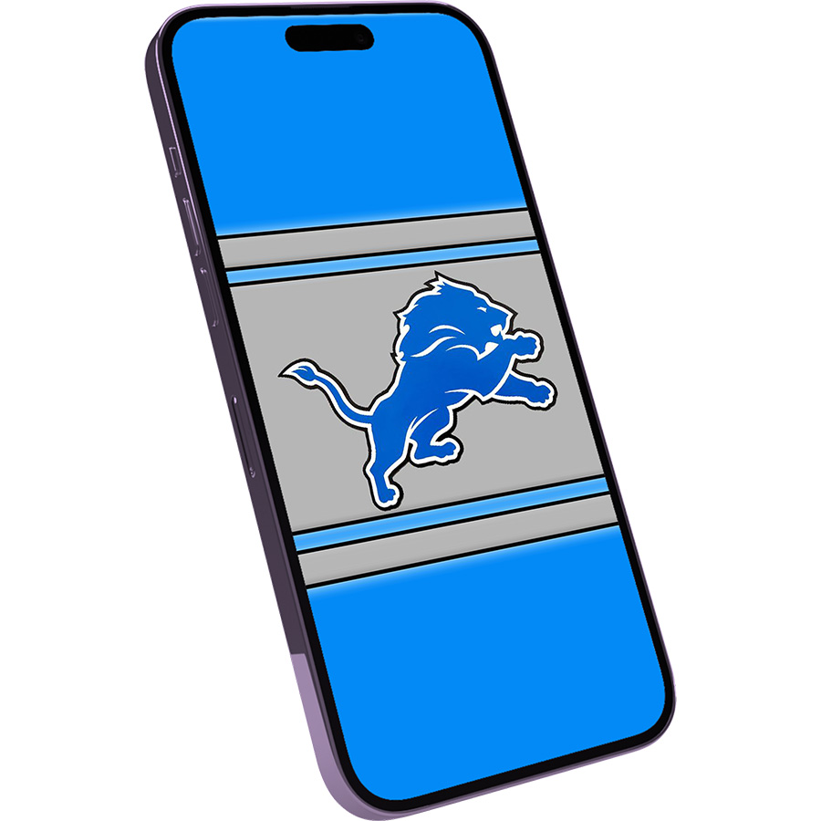 Detroit Lions Fans Box
