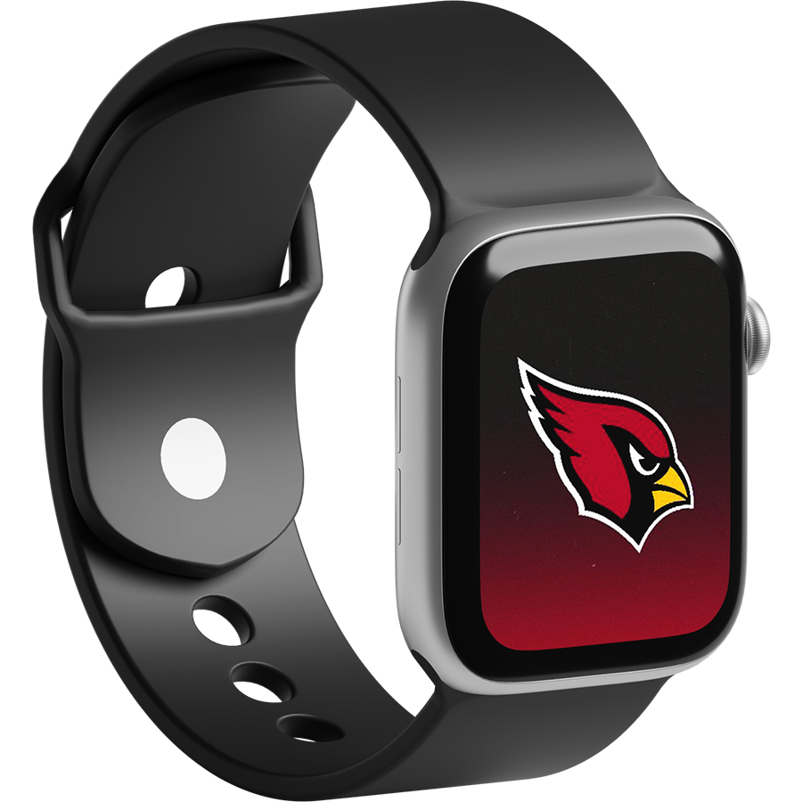 Arizona Cardinals Fans Box