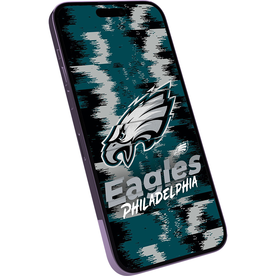 Philadelphia Eagles Fans Box