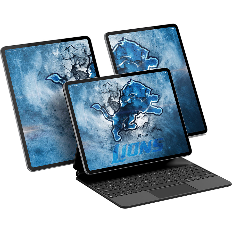 Detroit Lions Fans Box
