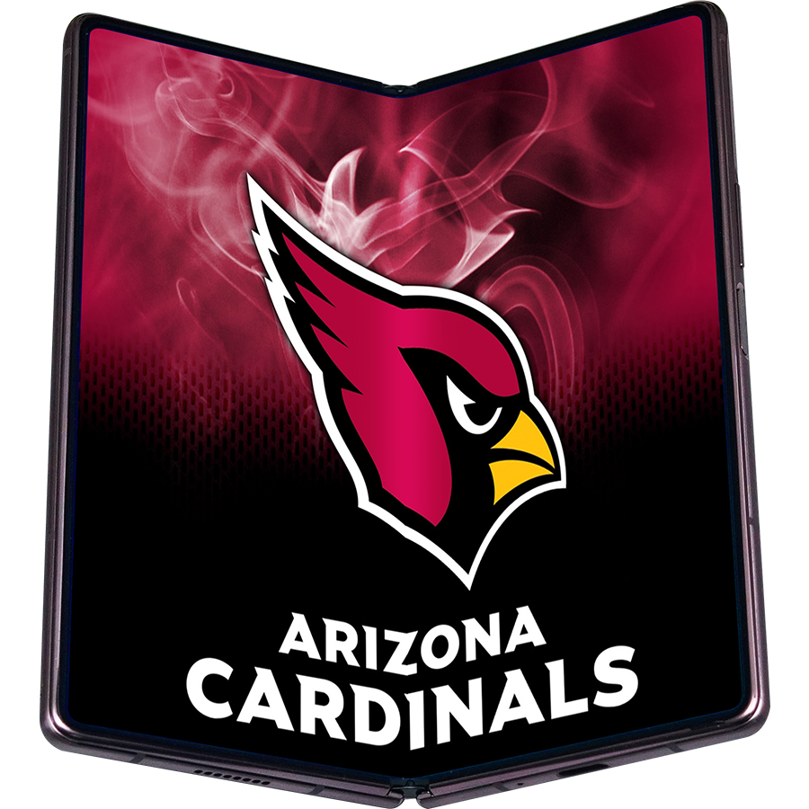 Arizona Cardinals Fans Box