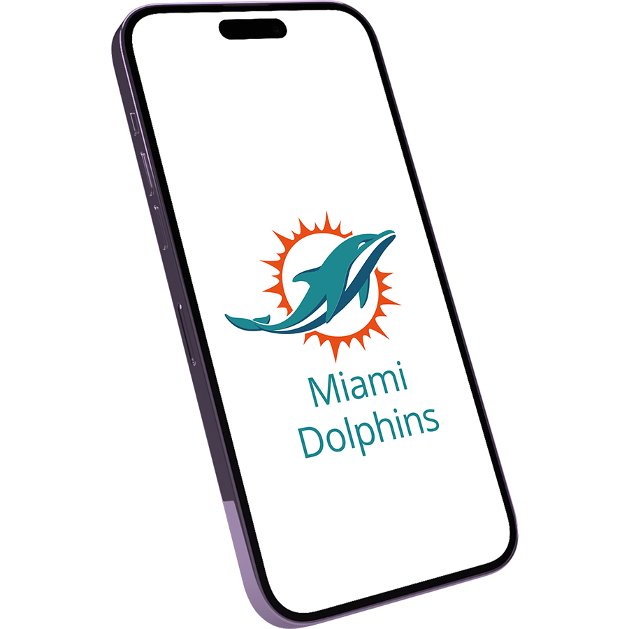 Miami Dolphins Fans Box