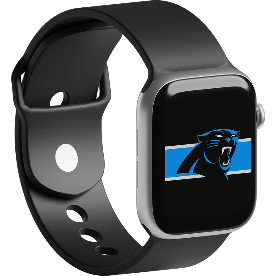 Carolina Panthers Fans Box