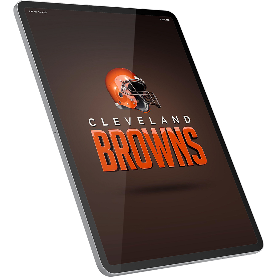Cleveland Browns Fans Box