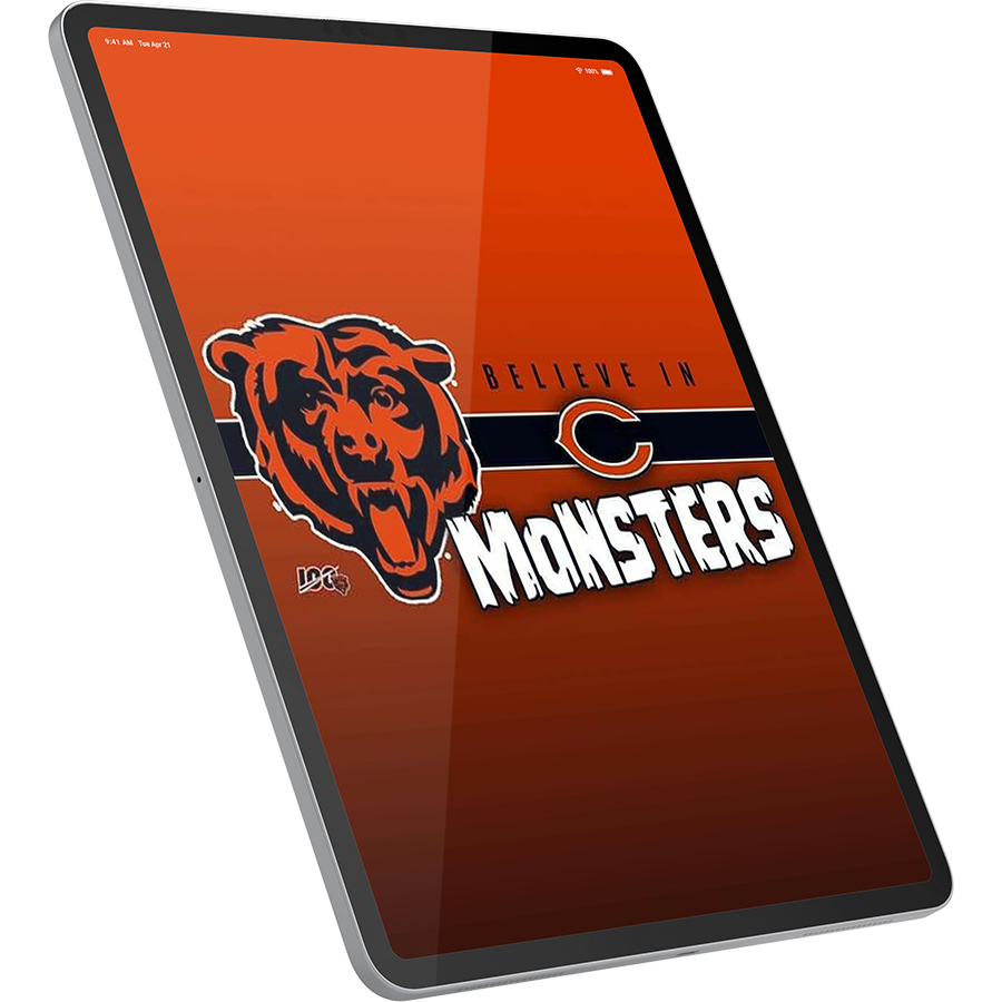 Chicago Bears Fans Box