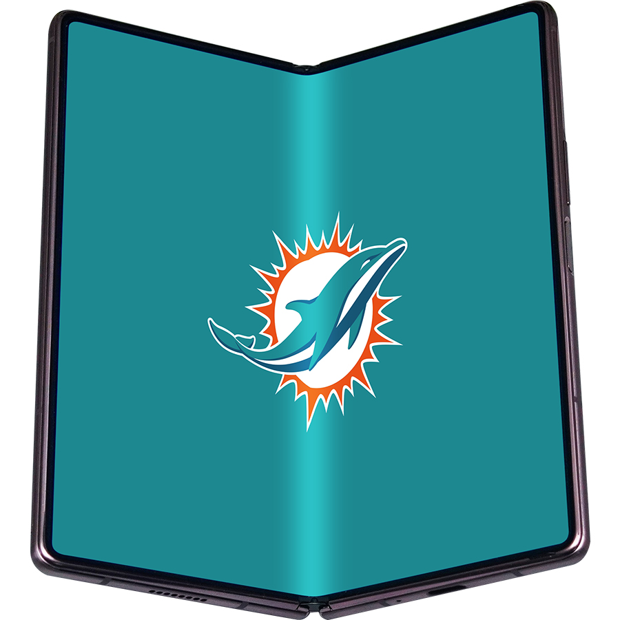 Miami Dolphins Fans Box