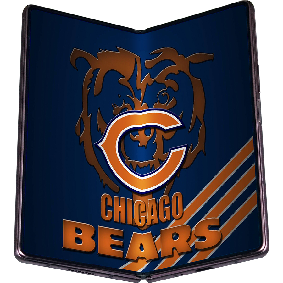Chicago Bears Fans Box