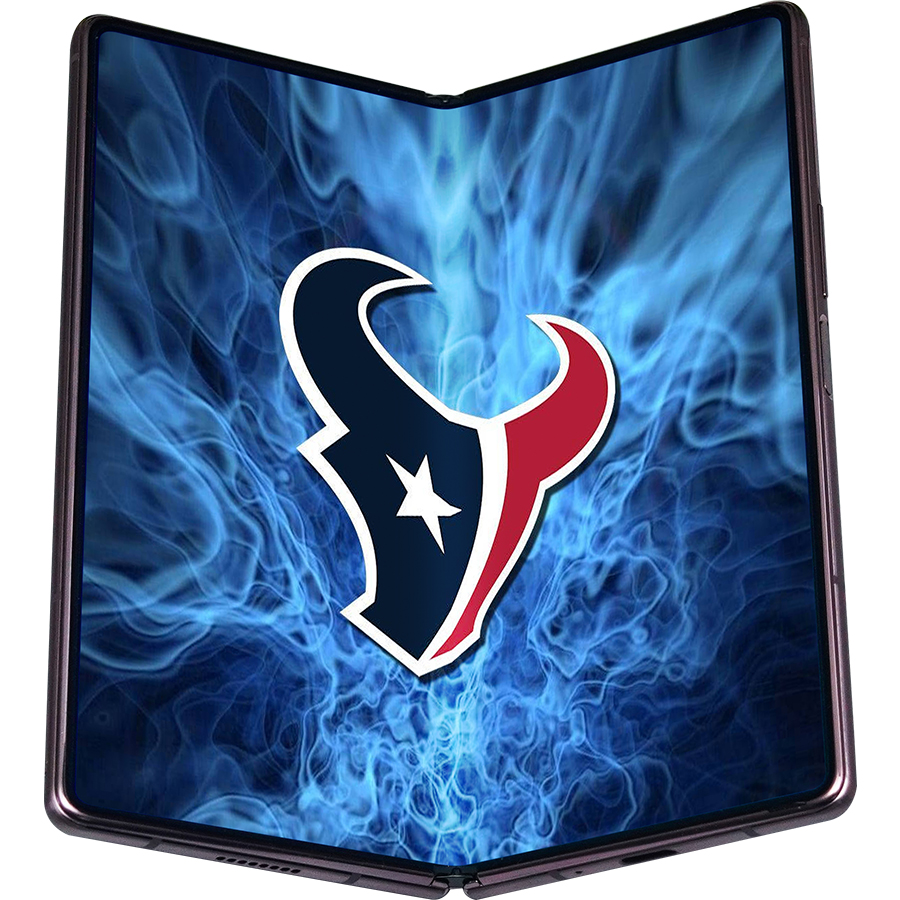 Houston Texans Fans Box