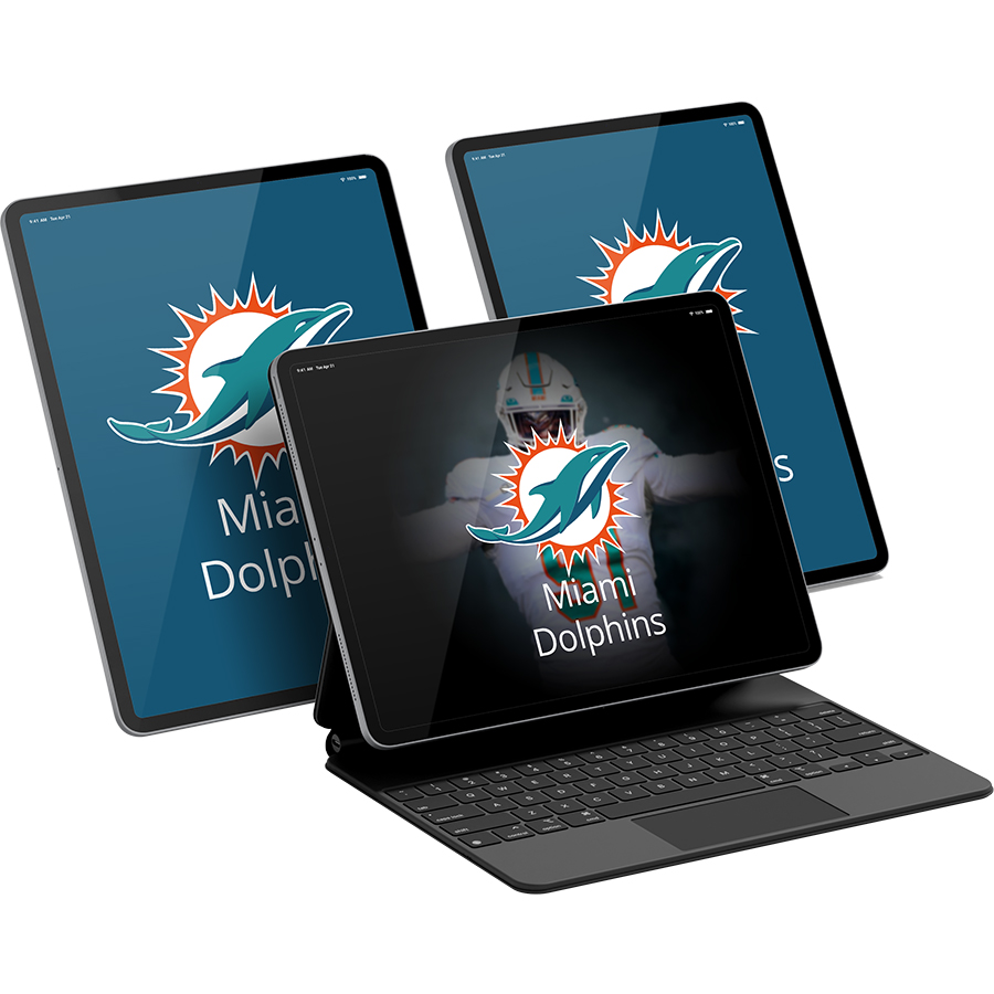 Miami Dolphins Fans Box